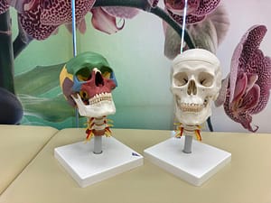 IMG_0164